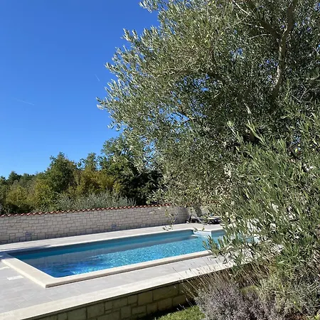 Mali Raj Mit Pool In * Zikovici